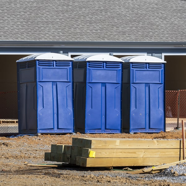 how can i report damages or issues with the porta potties during my rental period in Dale